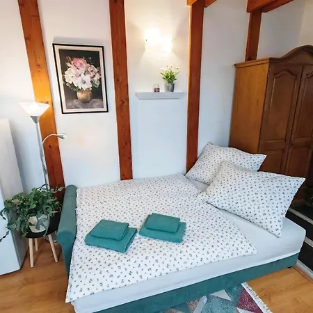 Stela Old Town With Private Parking コシツェ